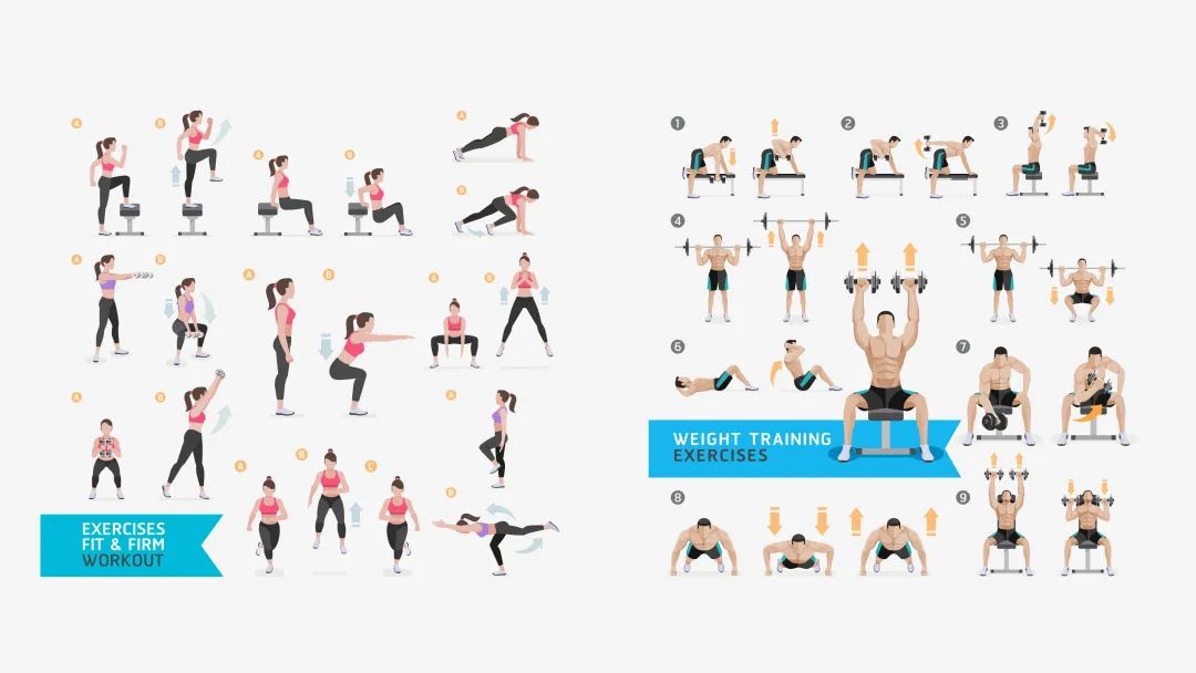 免费送一波矢量插画素材！非常实用！