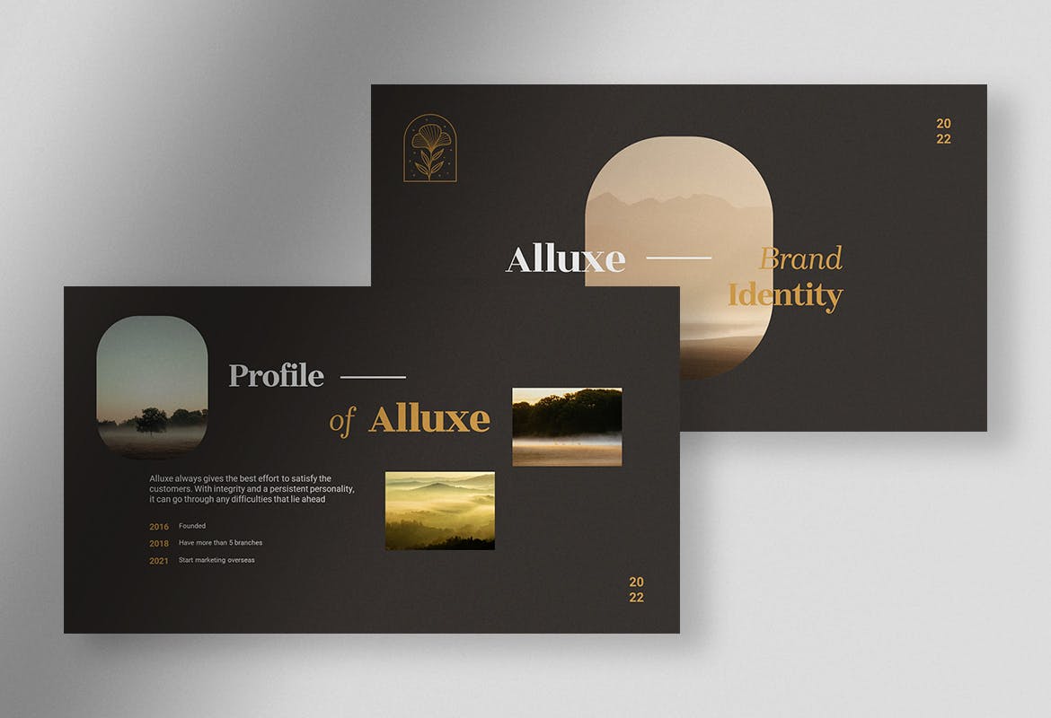 Alluxe – 优雅品牌标识手册PPT模板 (PPT,PPTX)