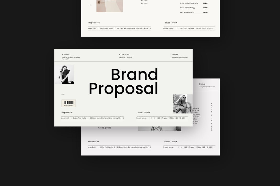 品牌提案ppt模板 (PPTX)