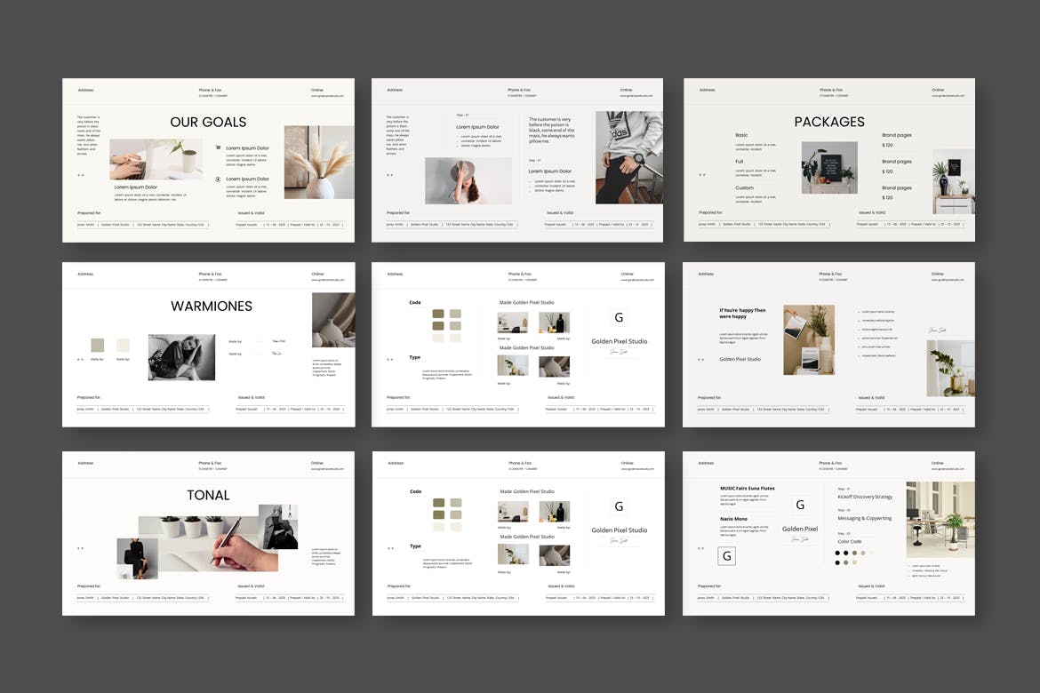 品牌提案ppt模板 (PPTX)