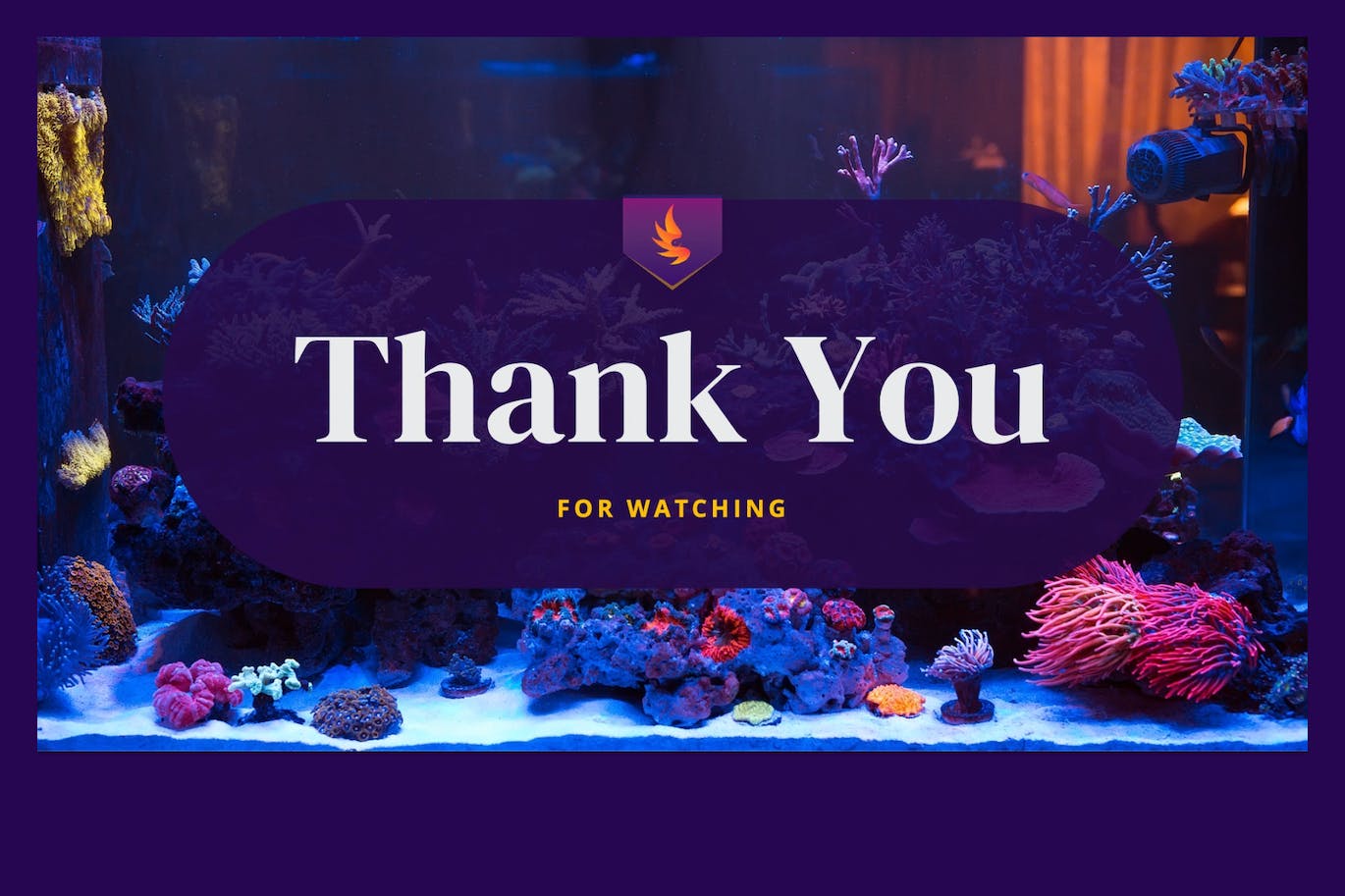 斗鱼海洋生物ppt模板 (PPTX)