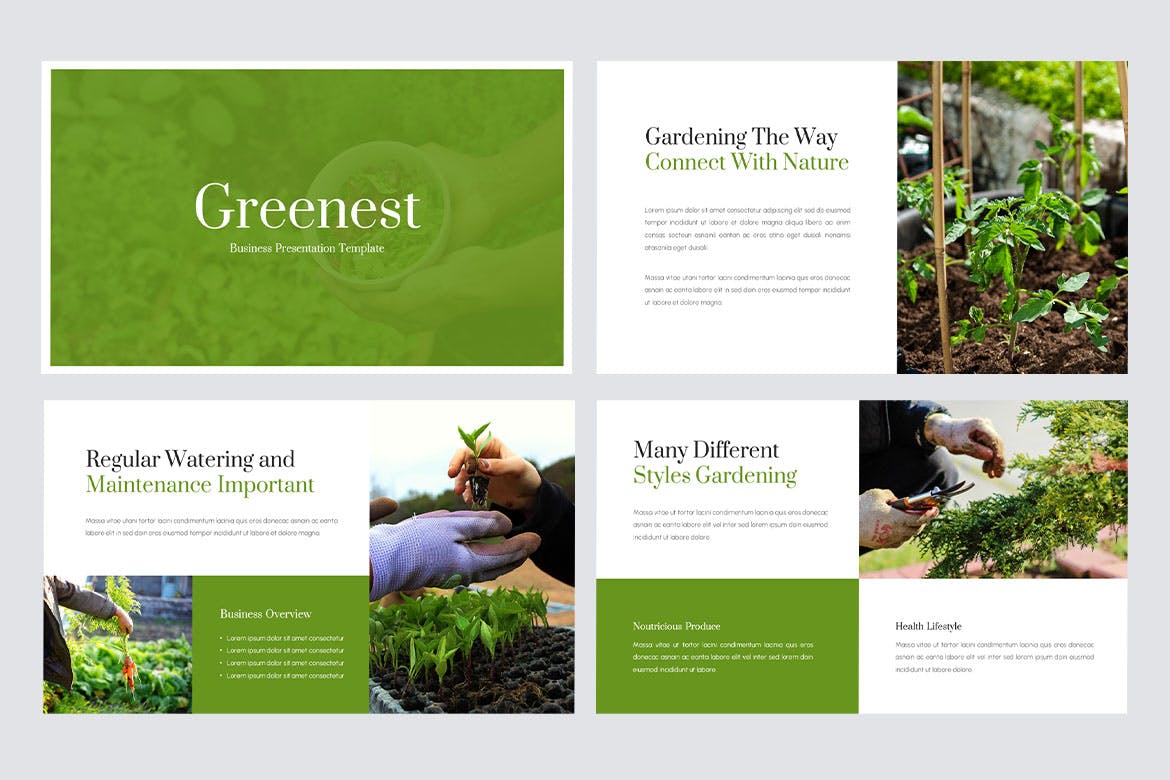 最环保-园艺业务 PPT模版 (PPTX)