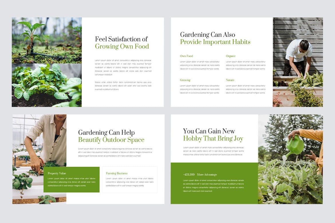 最环保-园艺业务 PPT模版 (PPTX)