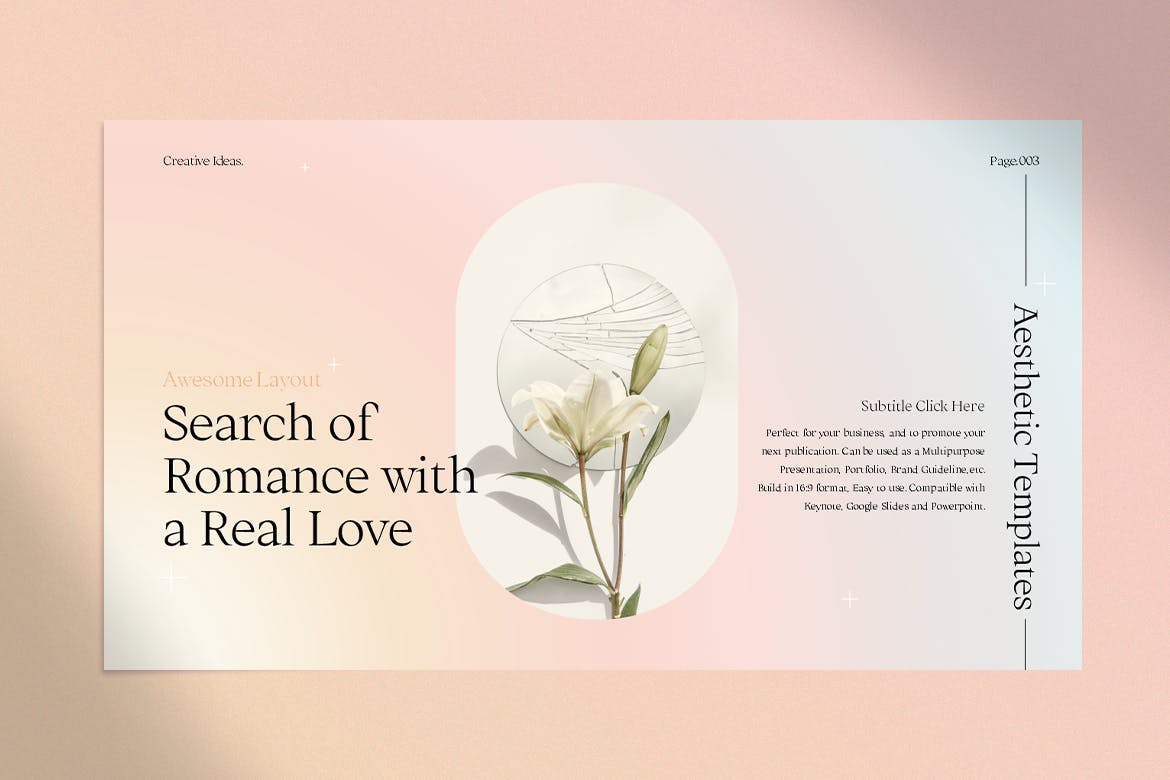 时尚优雅的PPT演示模板(PPTX)