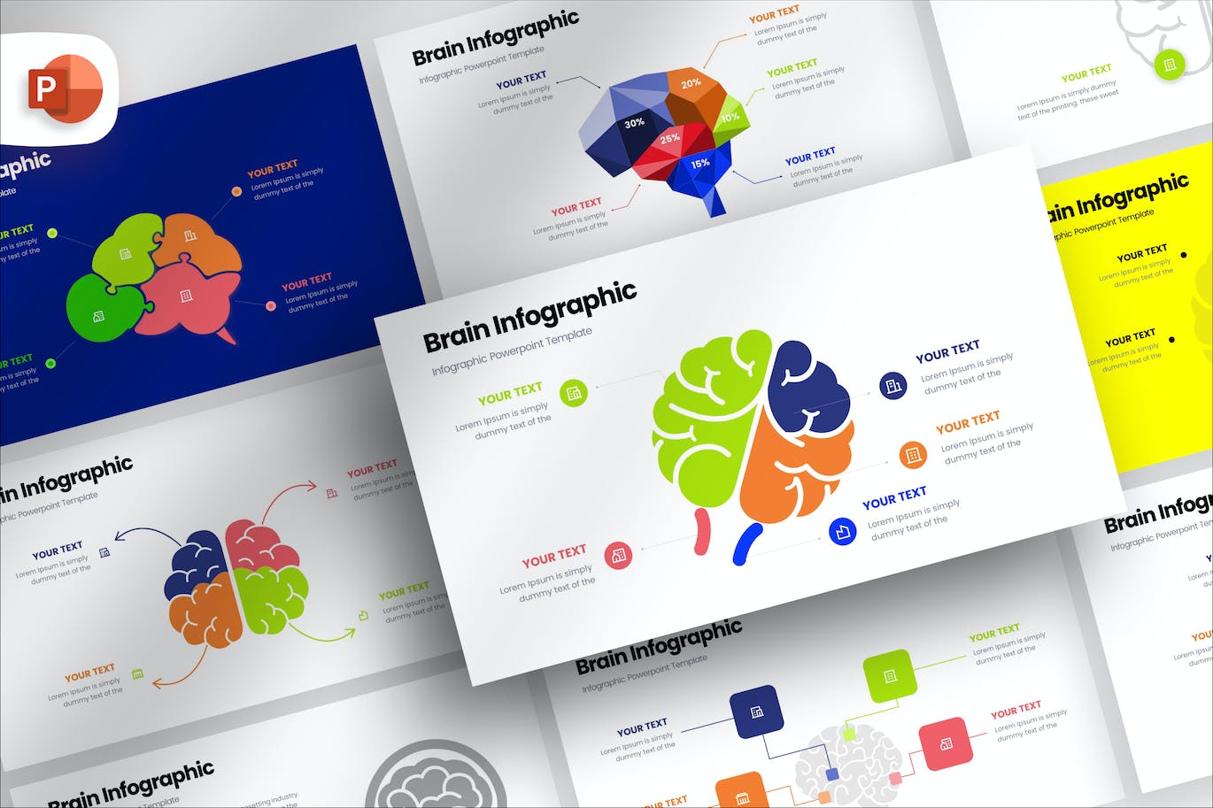 大脑信息图表 PPT模版 (PPTX)