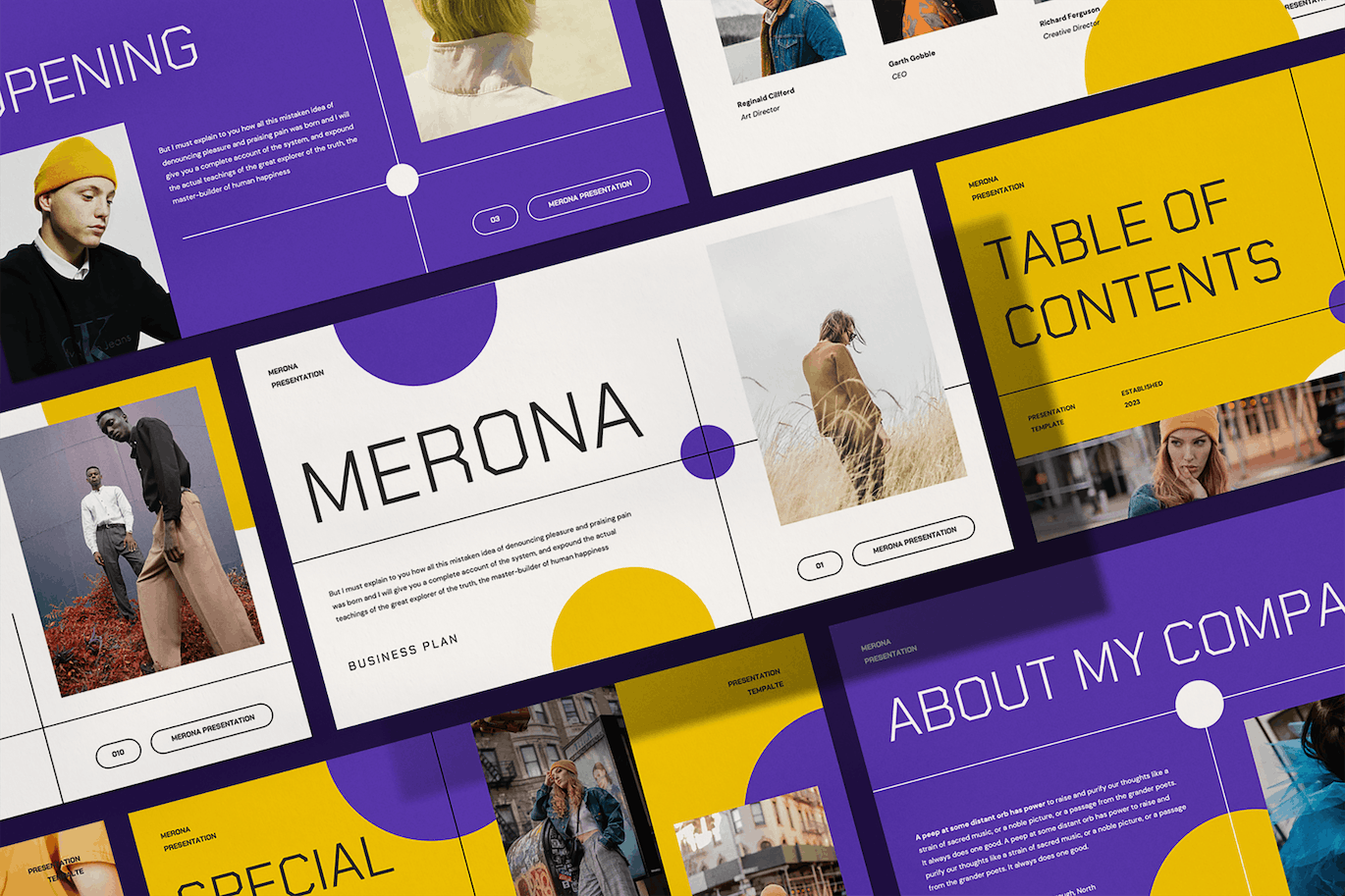 梅罗纳商业计划演示PPT模版 (PDF,PPTX)