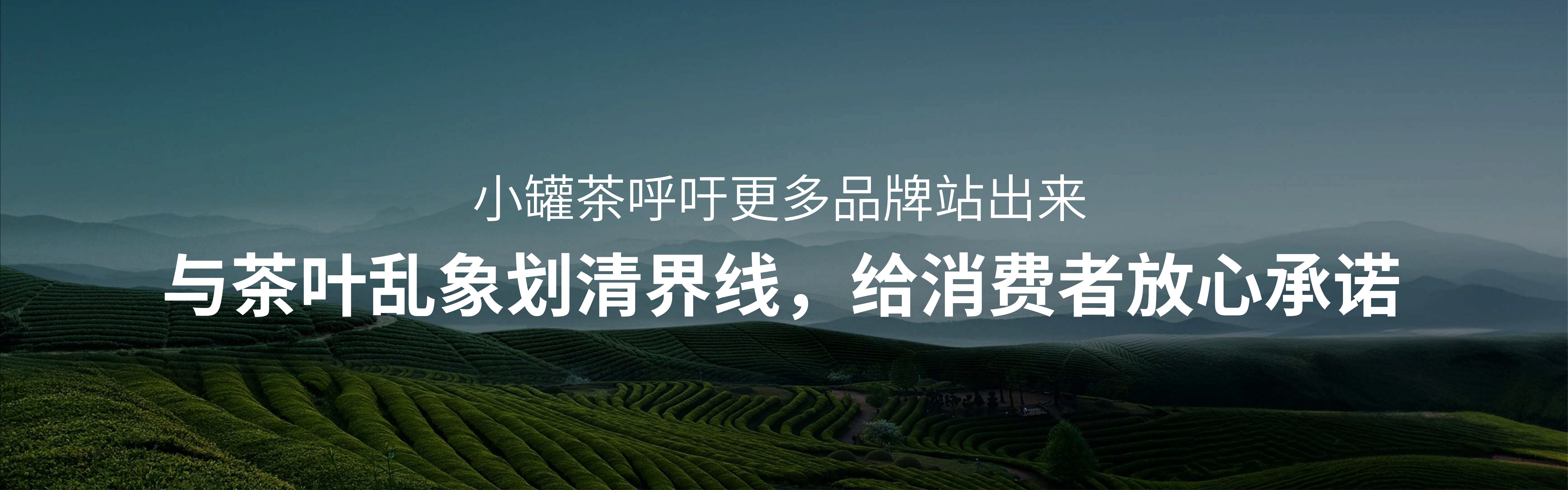 2024小罐茶十二周年发布会PPT案例-42页