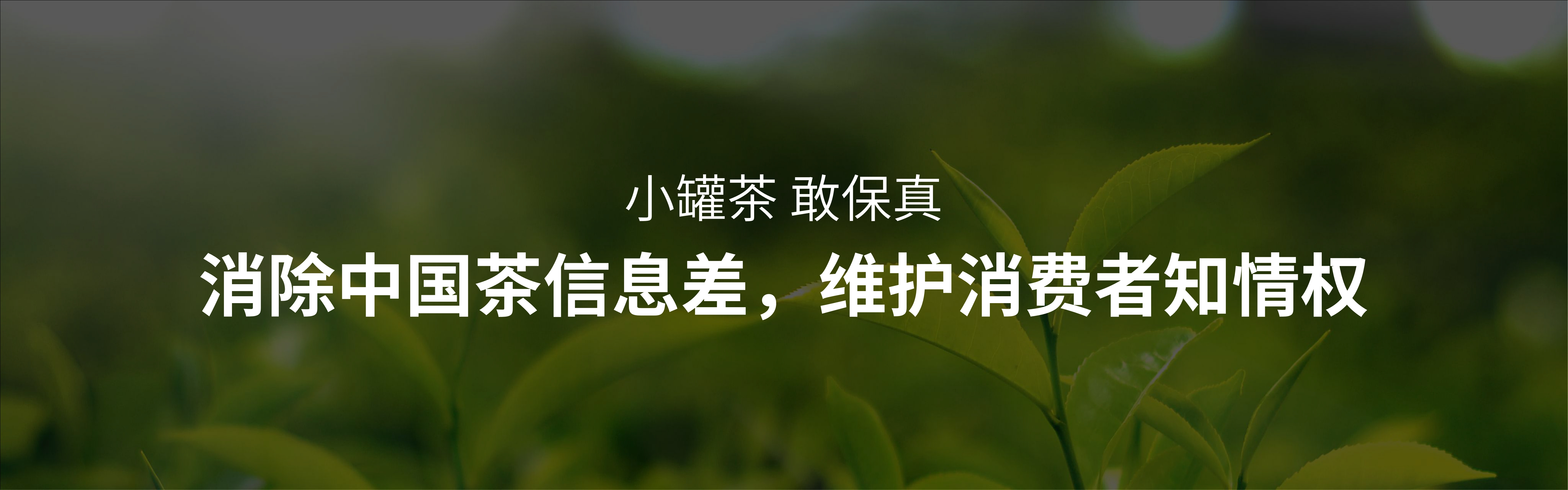 2024小罐茶十二周年发布会PPT案例-42页