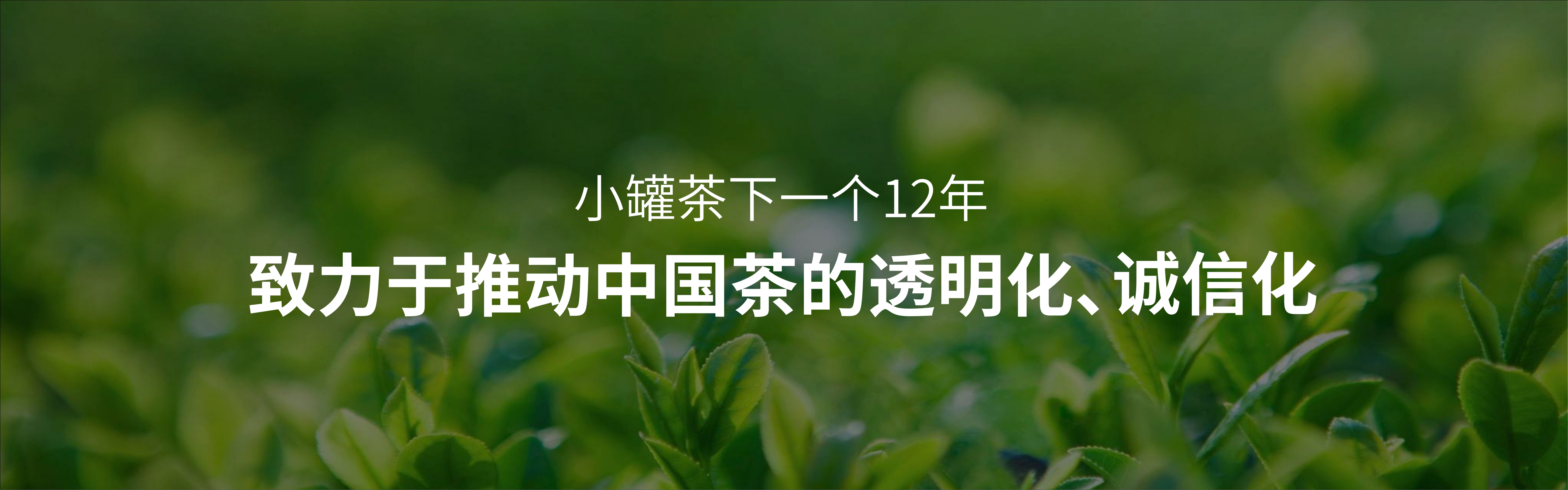 2024小罐茶十二周年发布会PPT案例-42页