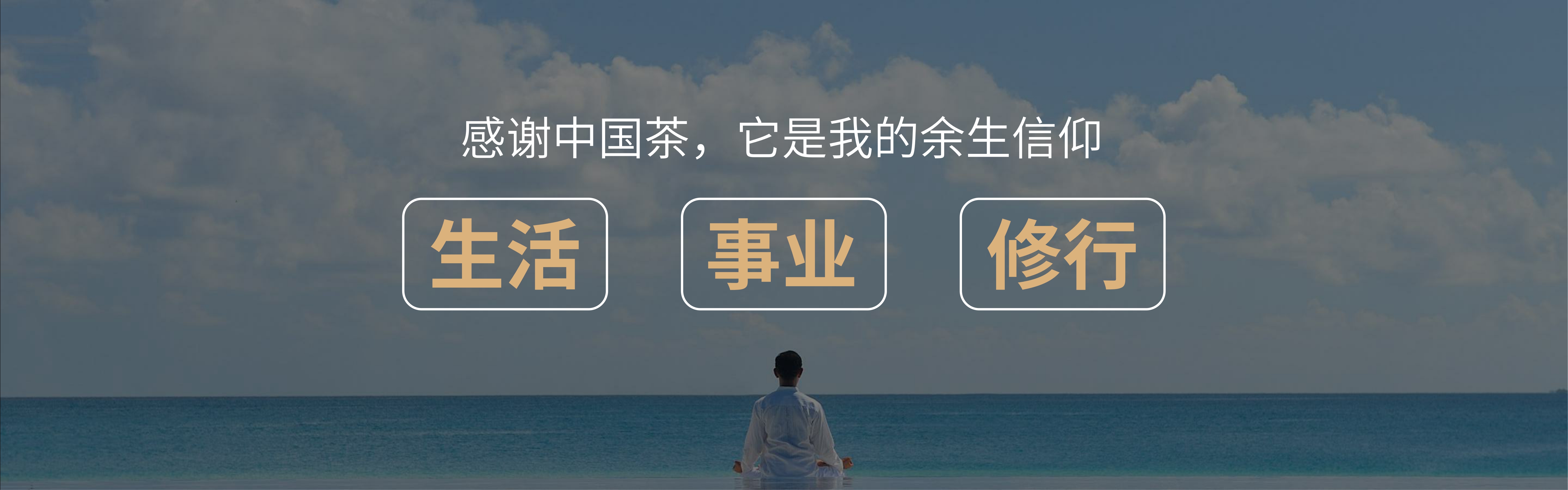 2024小罐茶十二周年发布会PPT案例-42页