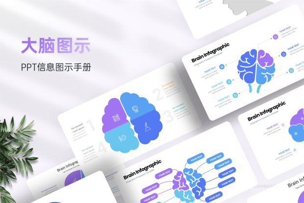 142张大脑图示信息图示PPT模板，支持一键换色！