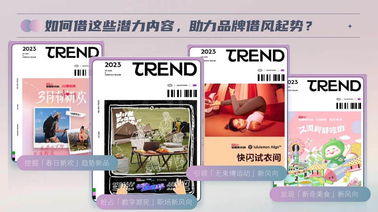 小红书新风向制造局IP招商通案-17页