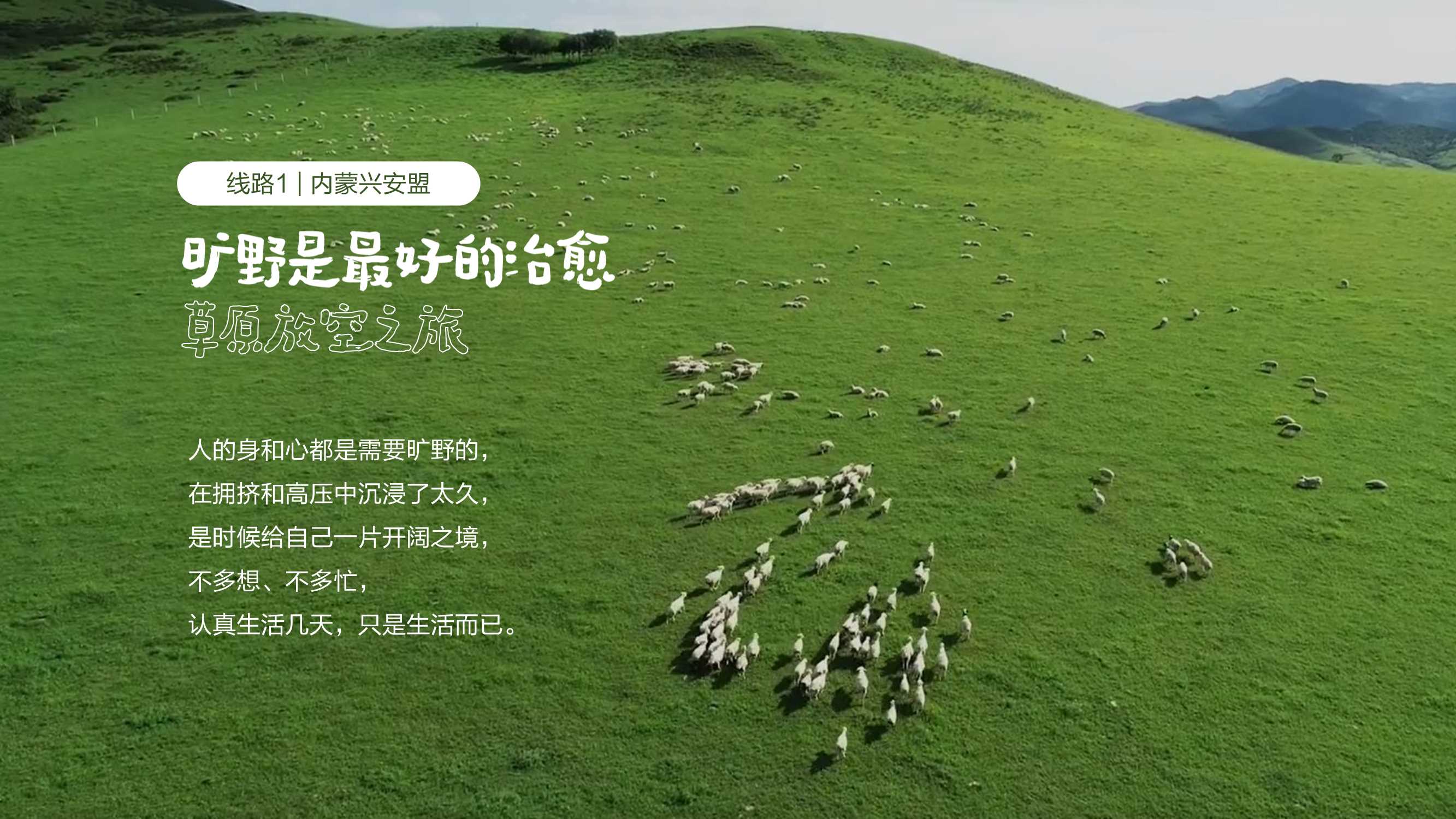 【红薯旅行社】招商方案-33页.pdf