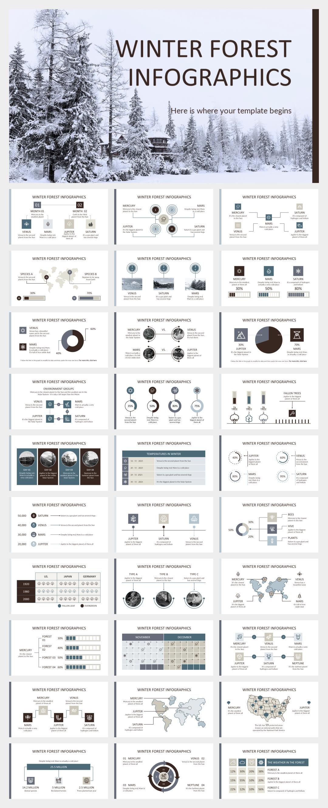 简约高级圣诞主题PPT模板