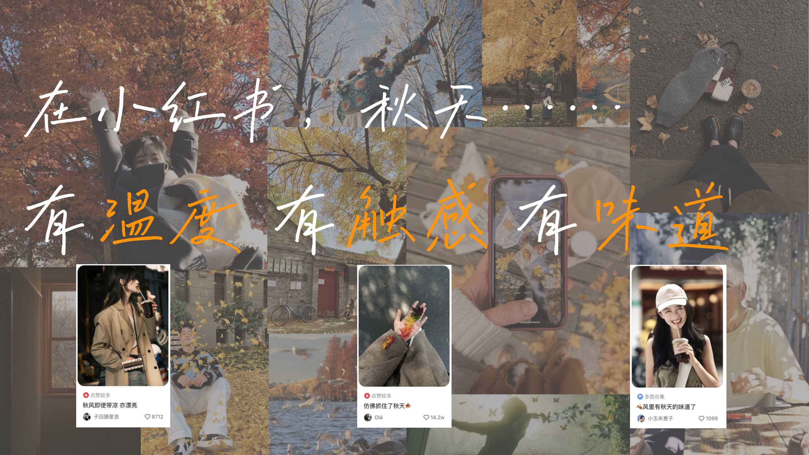 2024小红书【万物有时节】秋日街头碰杯计划-23页.pdf