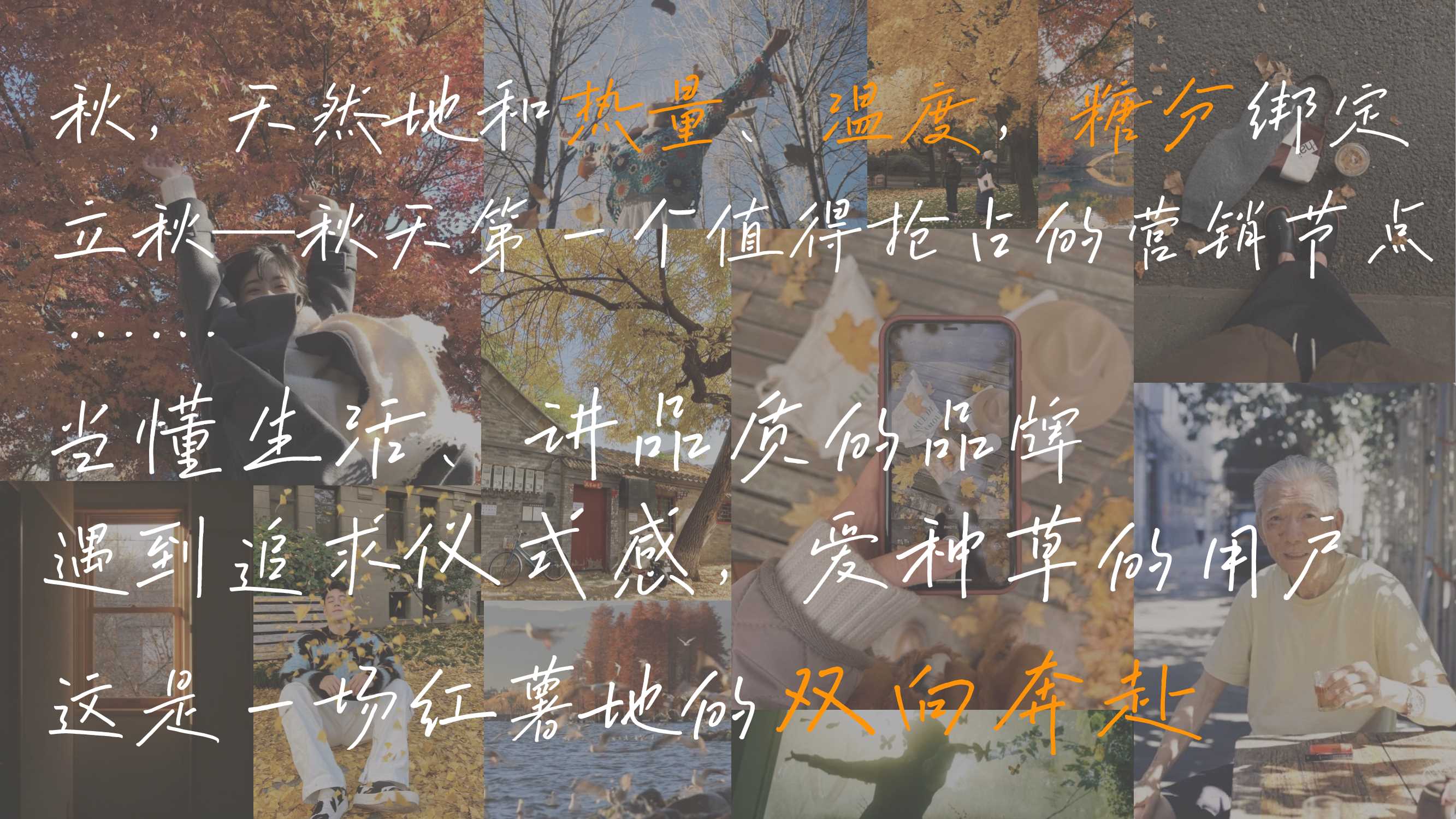 2024小红书【万物有时节】秋日街头碰杯计划-23页.pdf