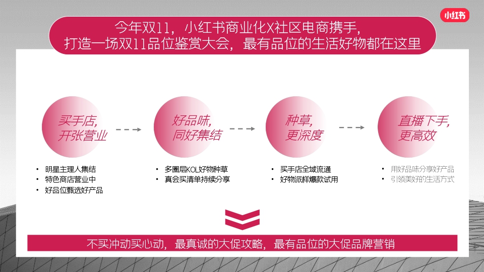 双11真会买买手店-小红书电商内循环IP招商方案.pdf