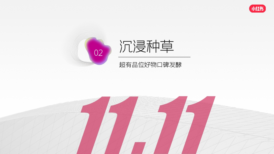 双11真会买买手店-小红书电商内循环IP招商方案.pdf