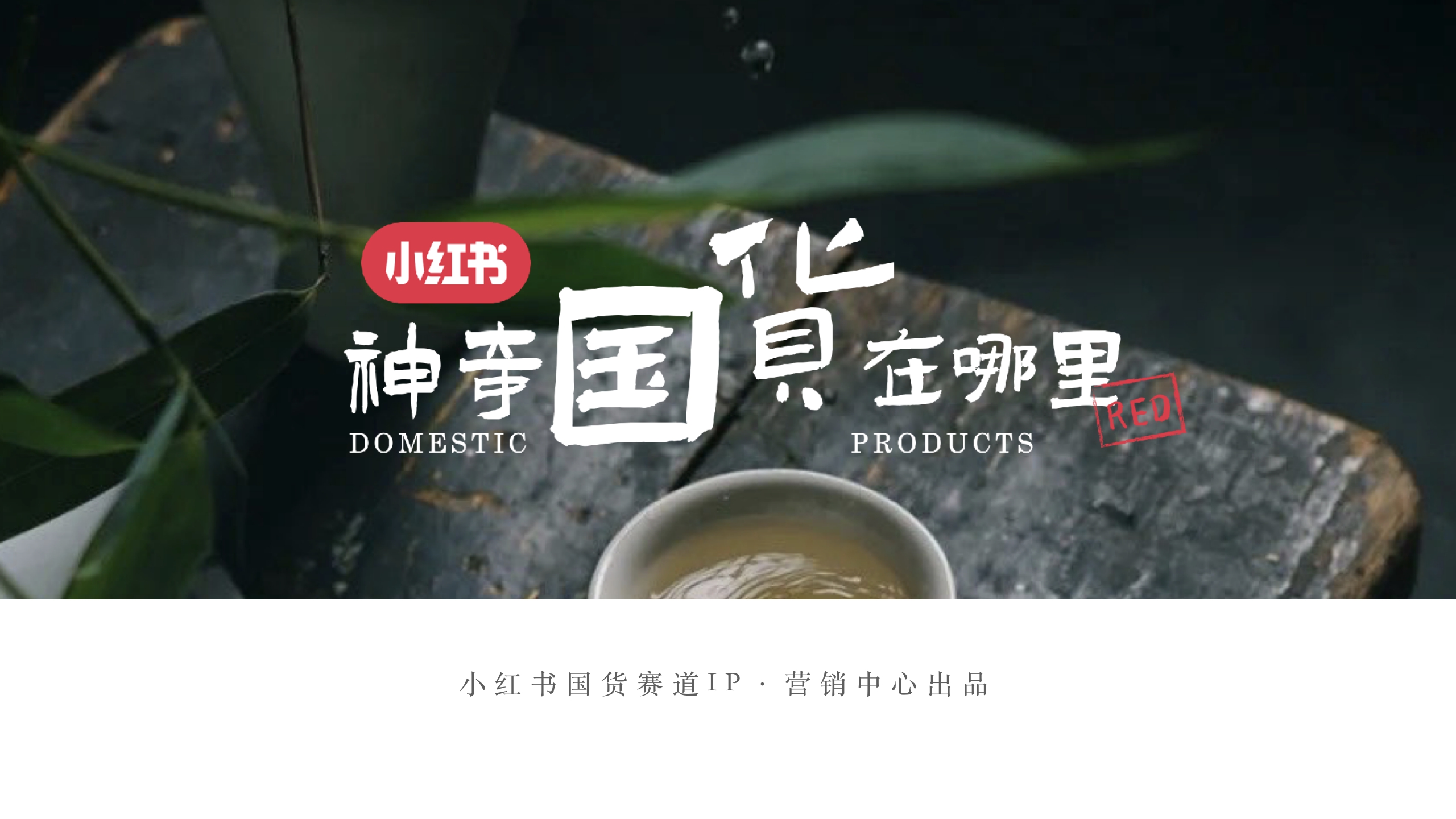 小红书《神奇国货在哪里》项目通案.pdf