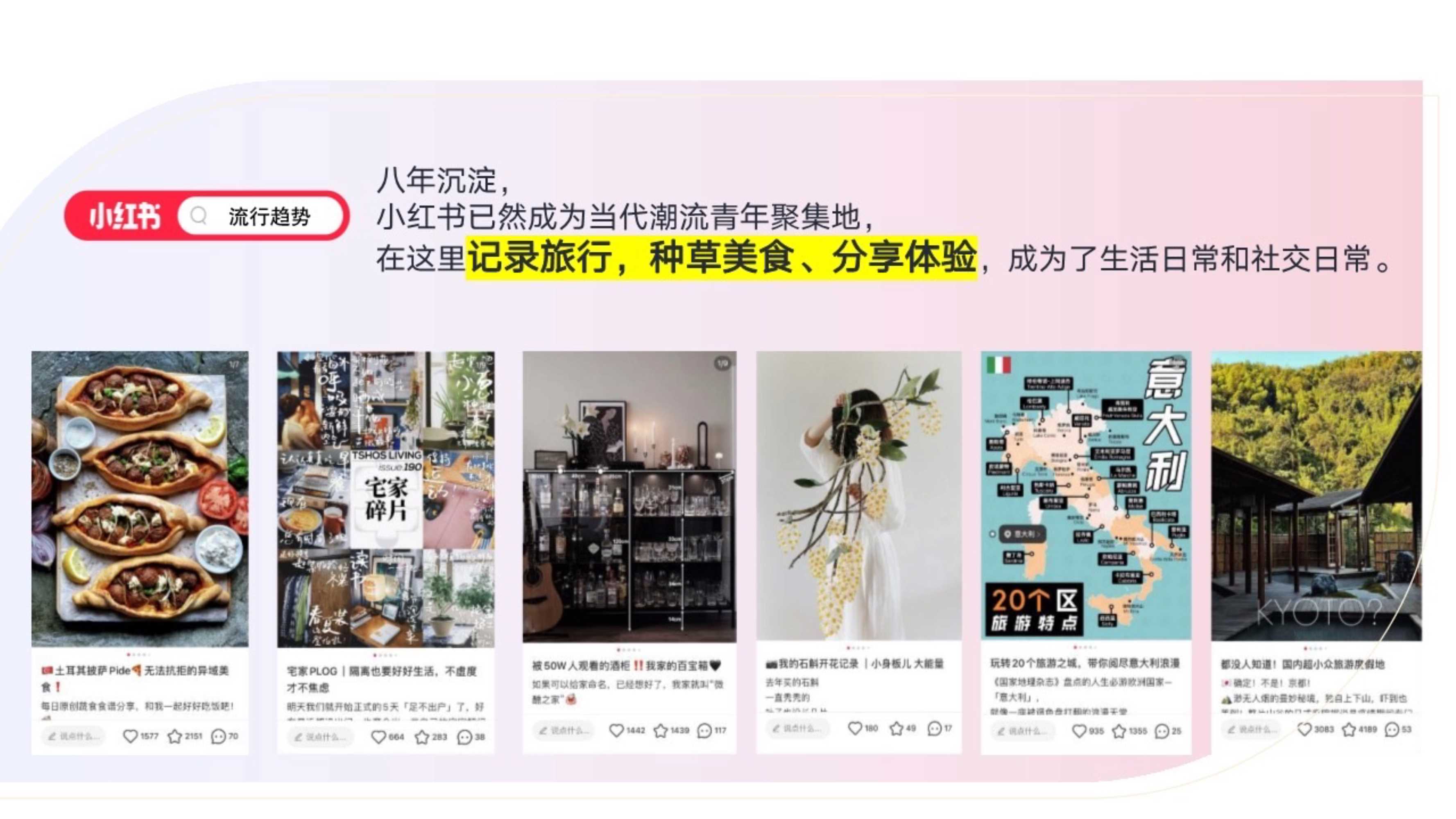 小红书s级IP-薯小虎过暑假招商方案.pdf