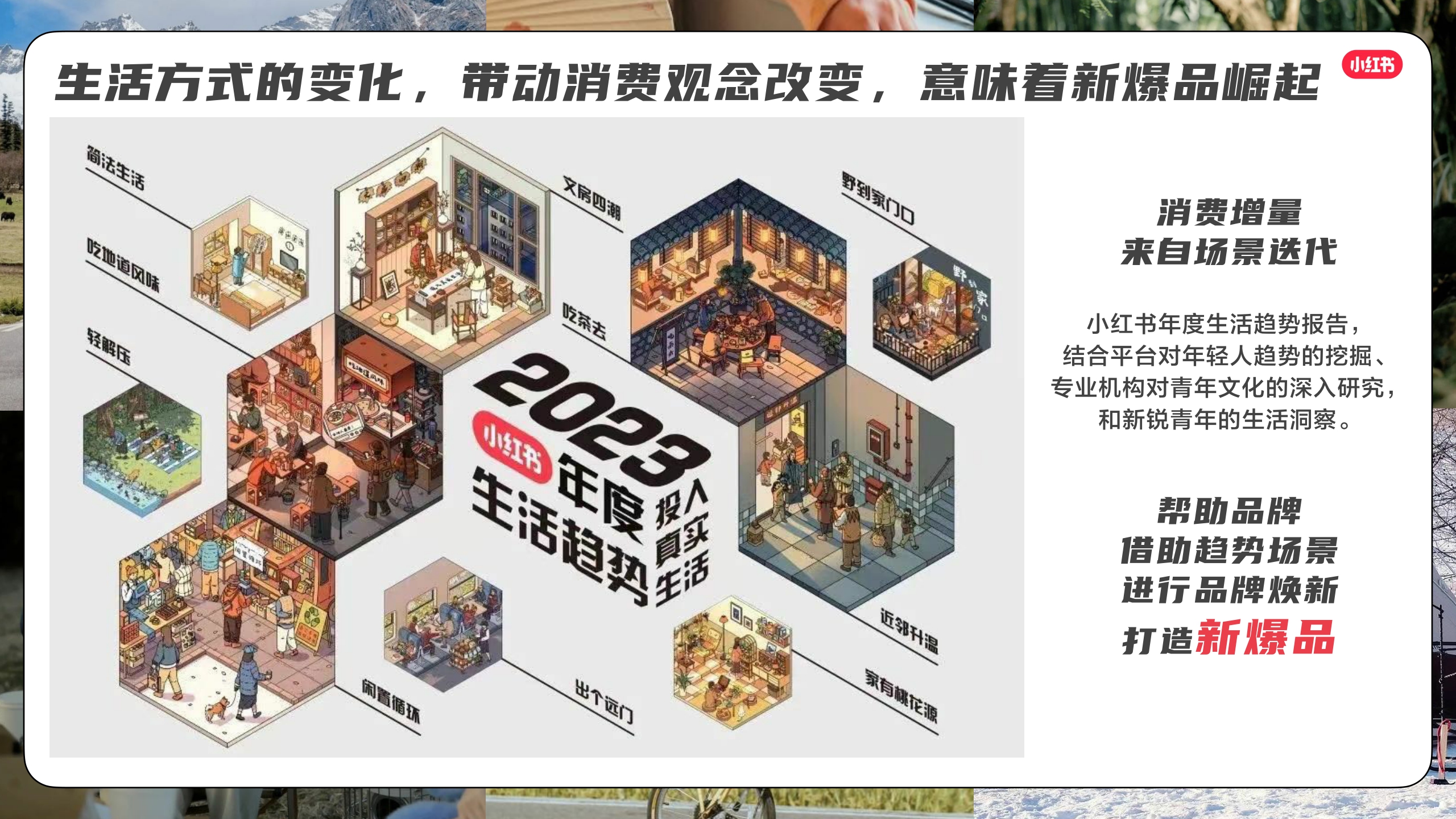 小红书我就要这样生活 2023全系列pdf