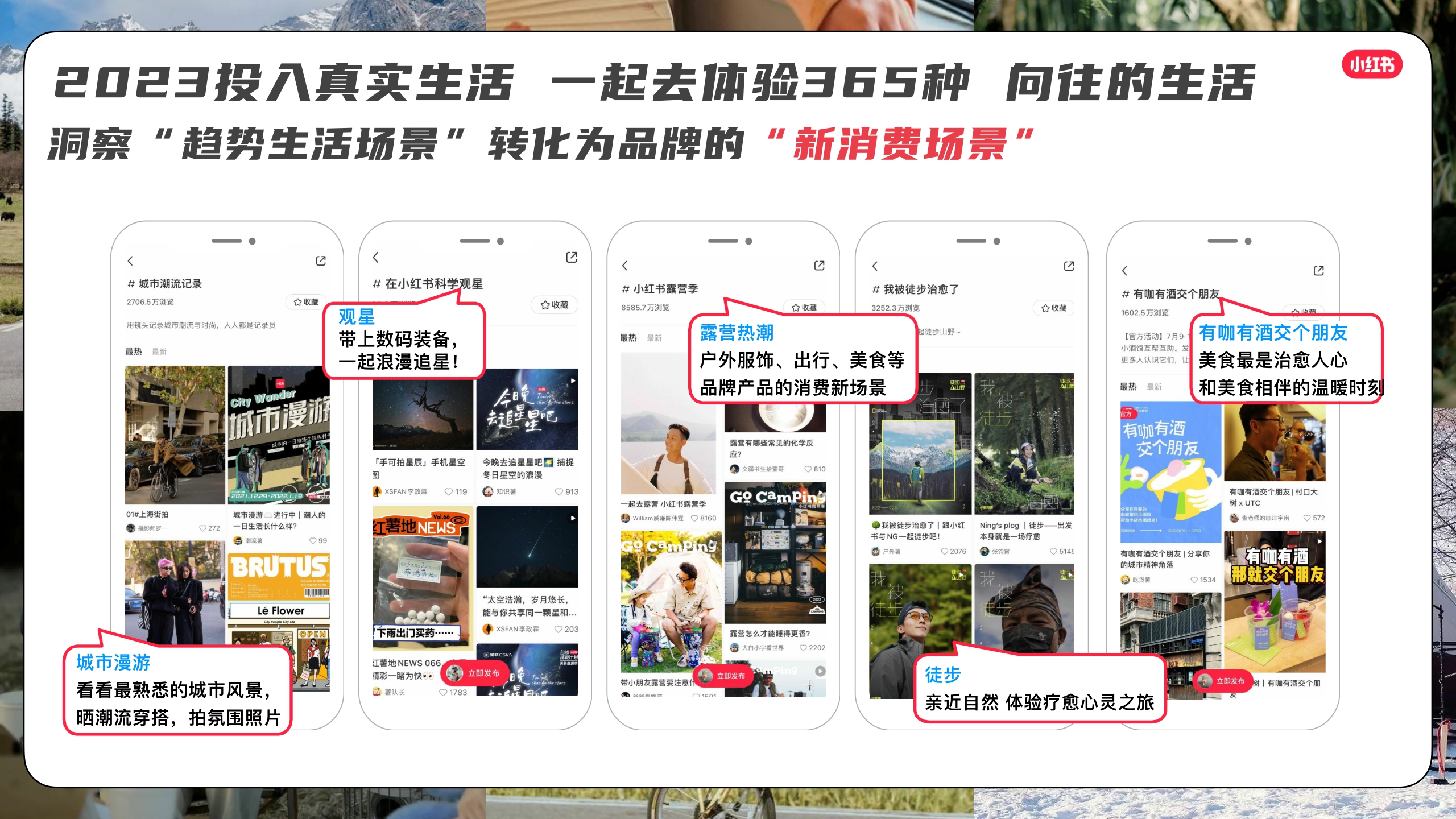 小红书我就要这样生活 2023全系列pdf