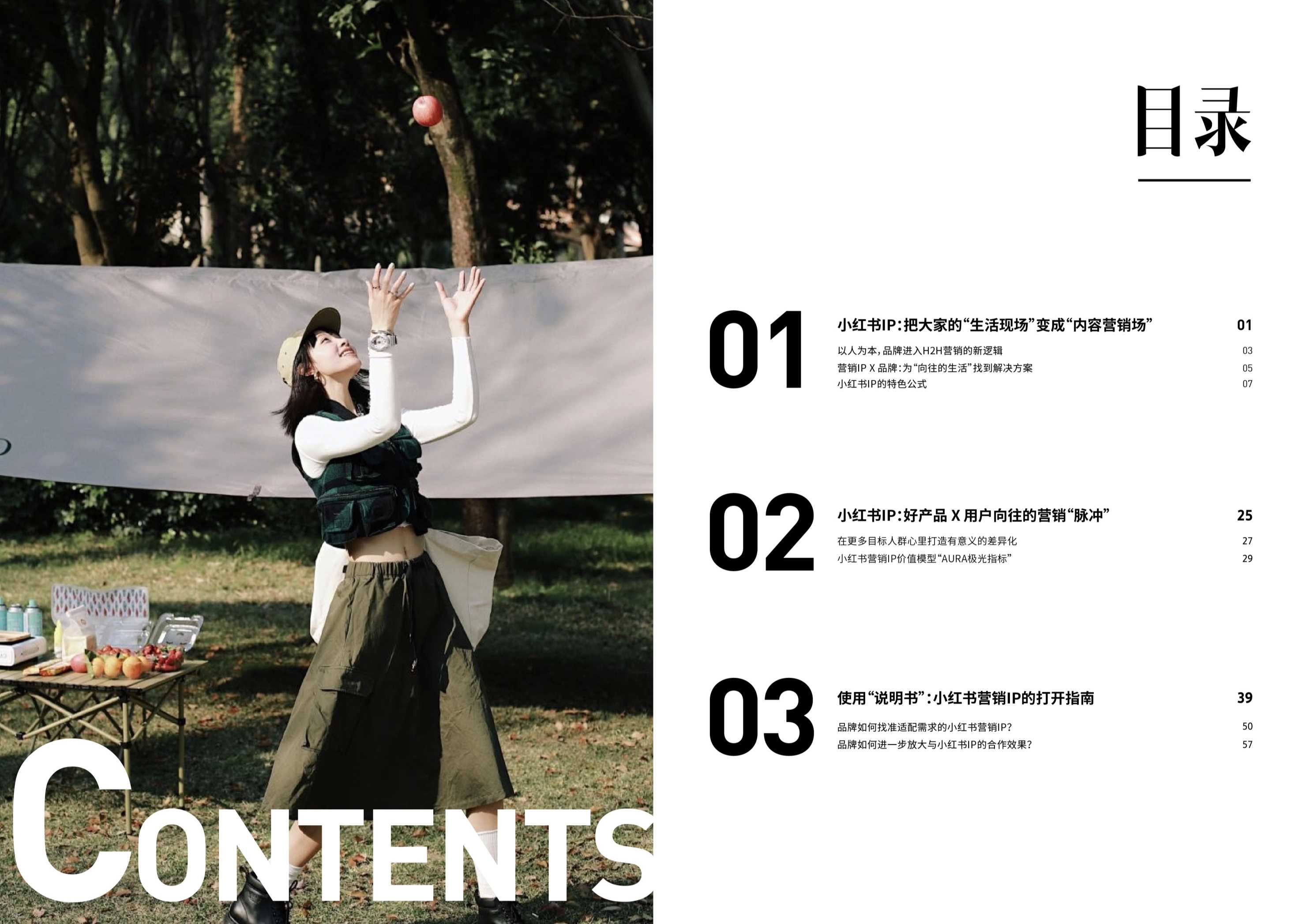 小红书营销IP说明书:一本大家看懂IP的使用说明.pdf