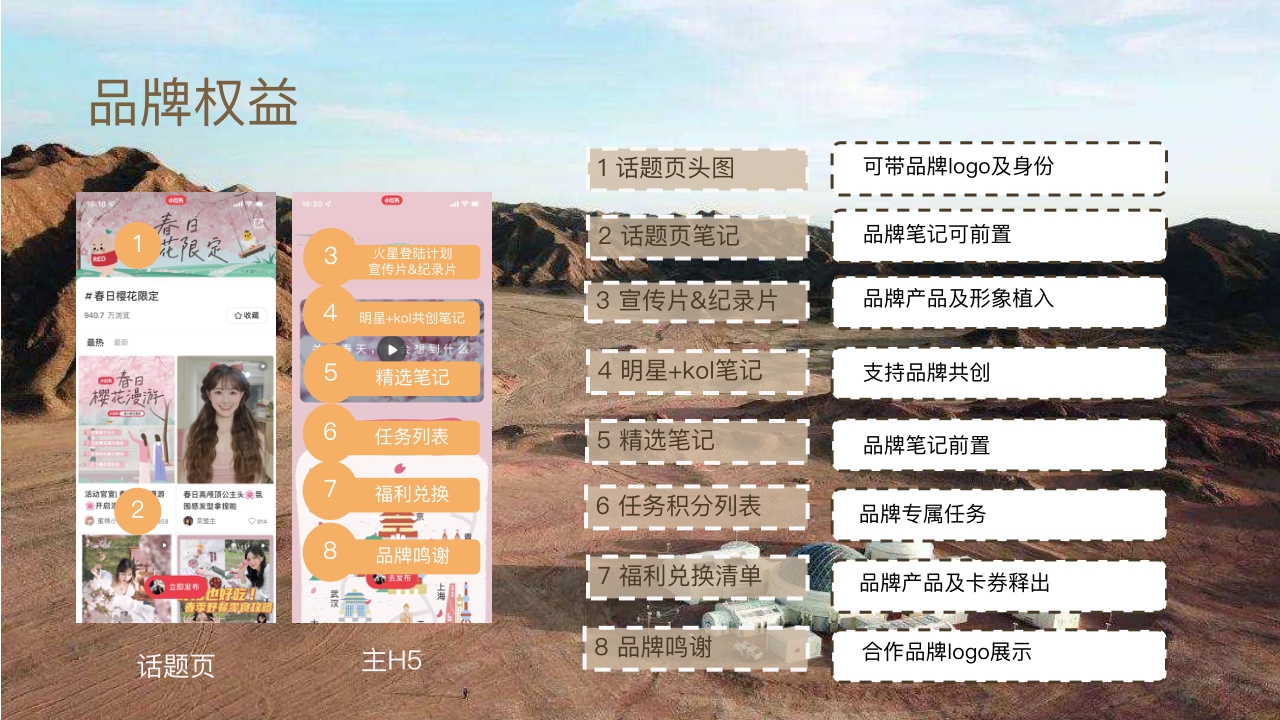 小小美好探索家.pdf