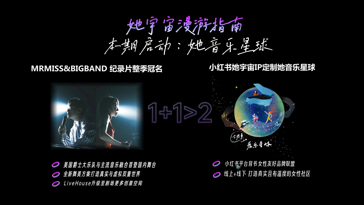 音乐她星球x刘恋音乐会招商方案.pdf