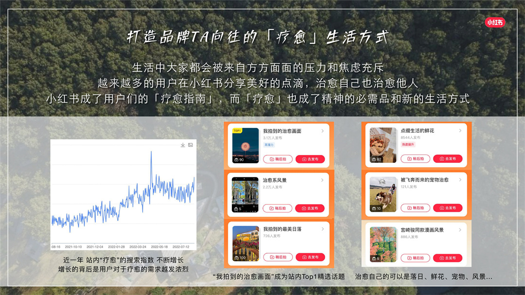 小红书野奢秘境漫游招商方案.pdf