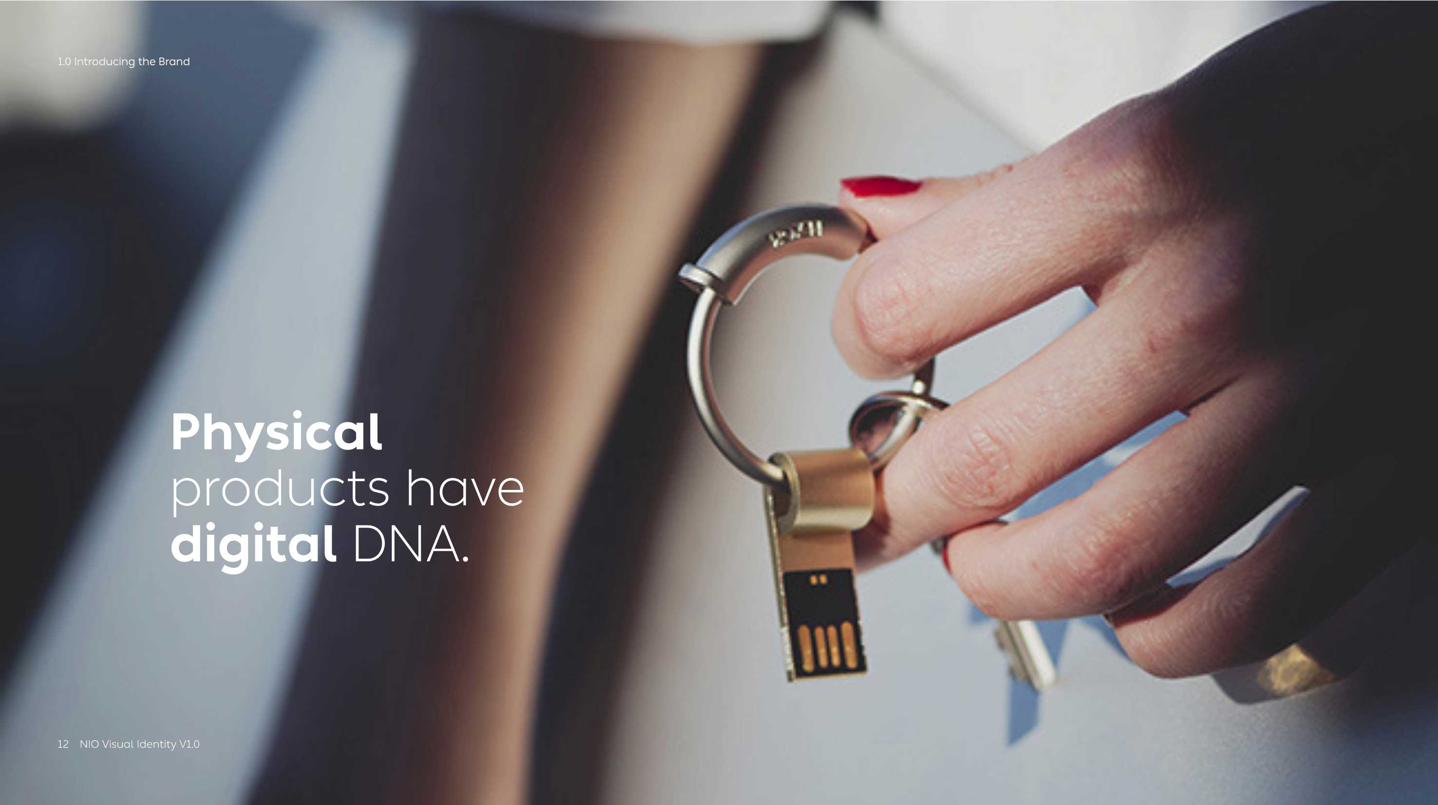 NIO Masterbrand.pdf