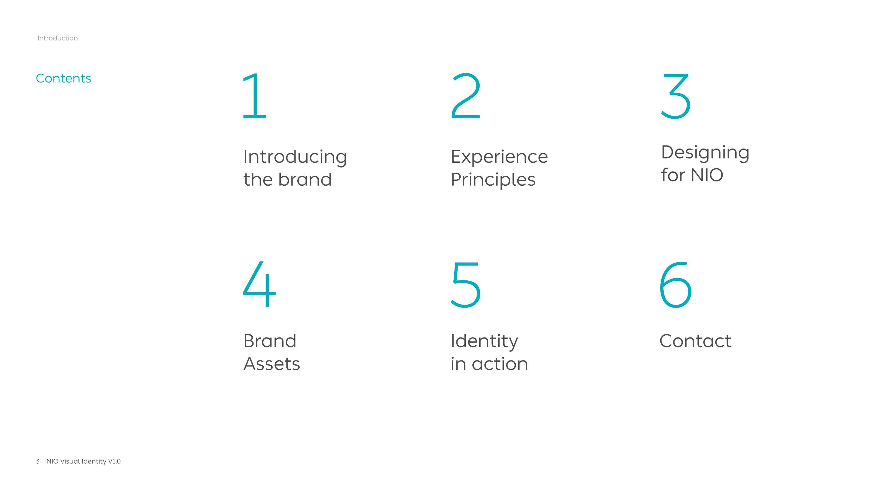 NIO Masterbrand.pdf