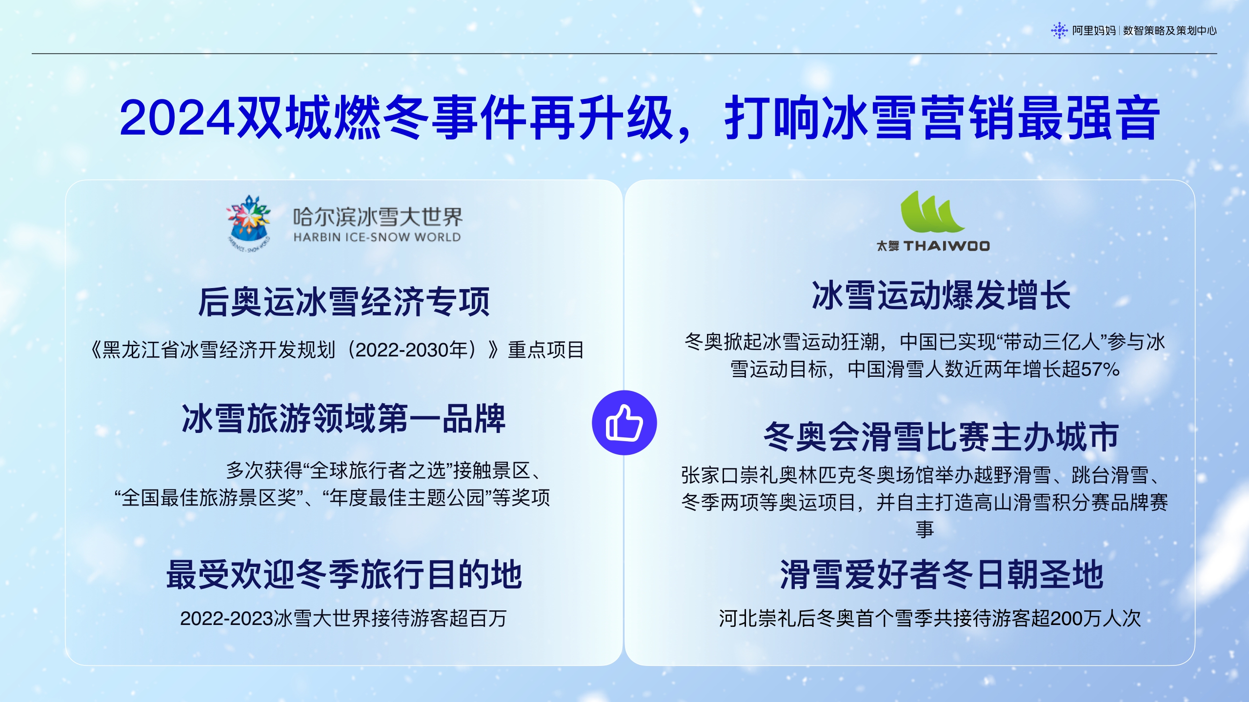 【摸底】天猫新年冰雪季.pdf