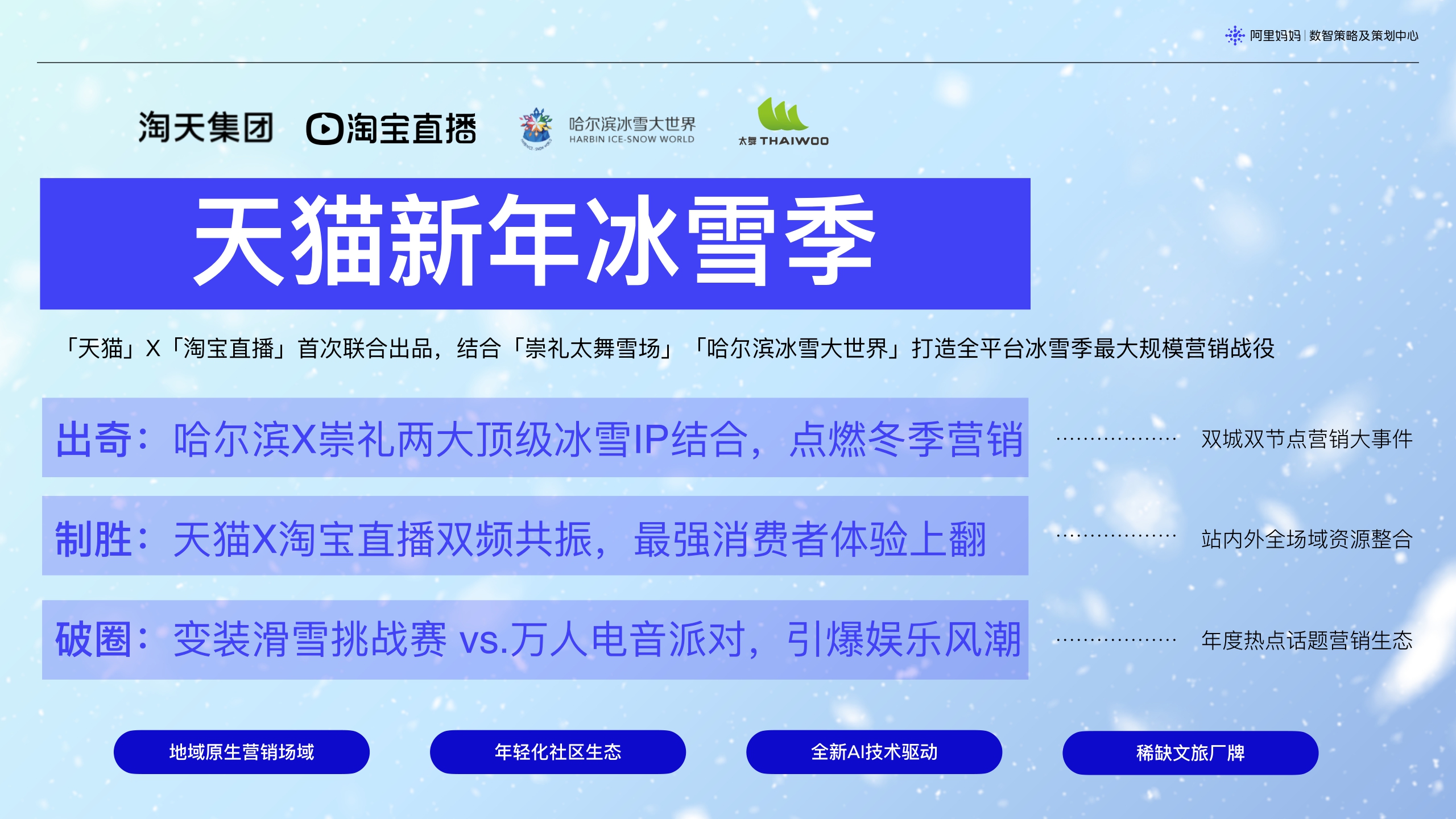 【摸底】天猫新年冰雪季.pdf