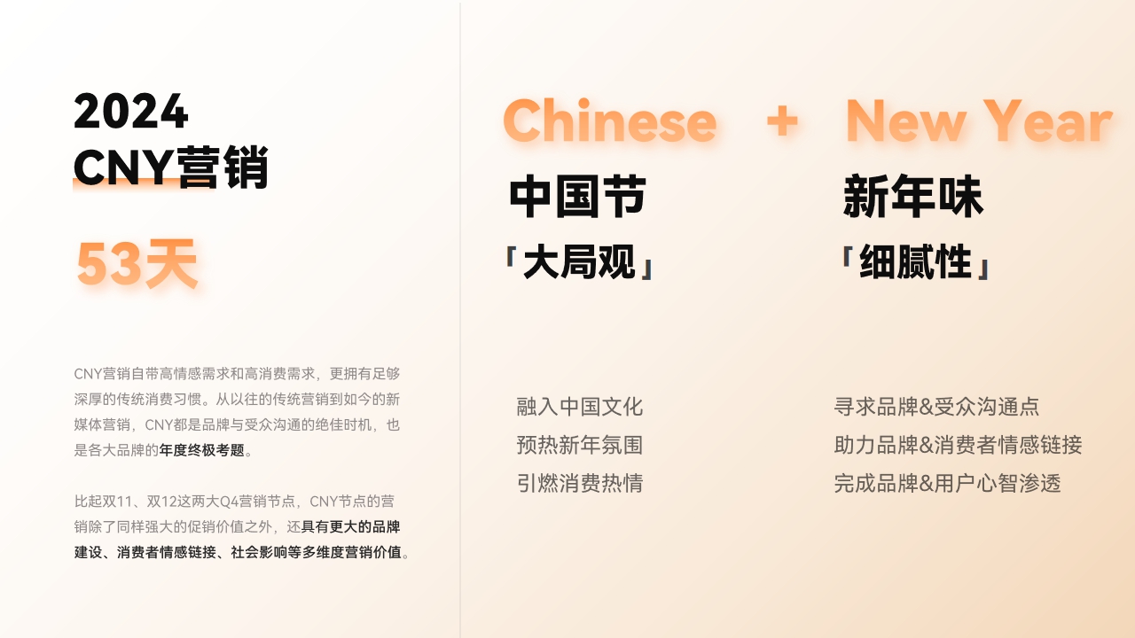 CNY营销方案（快消品特辑）.pdf