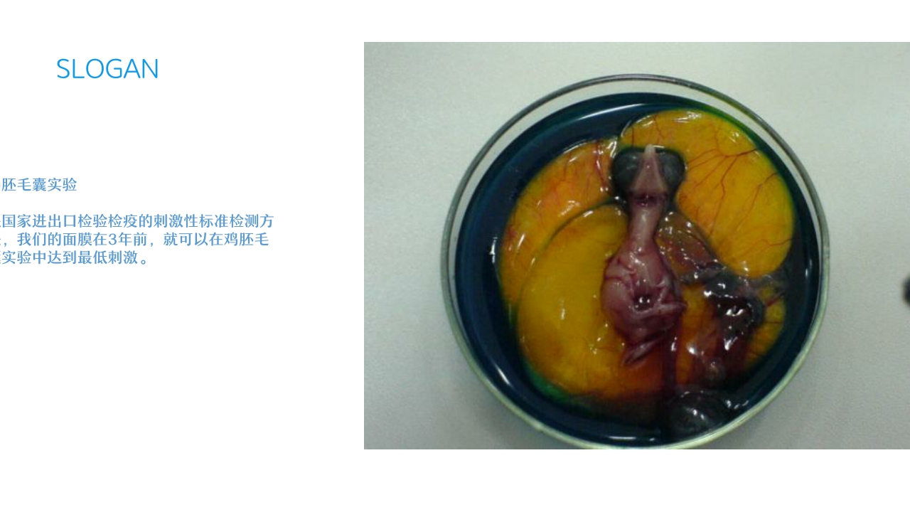 《WIS品牌介绍》V3.0.pdf