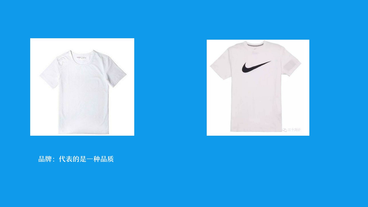 《WIS品牌介绍》V3.0.pdf