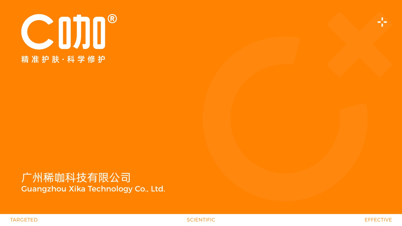 C咖公司介绍.pdf