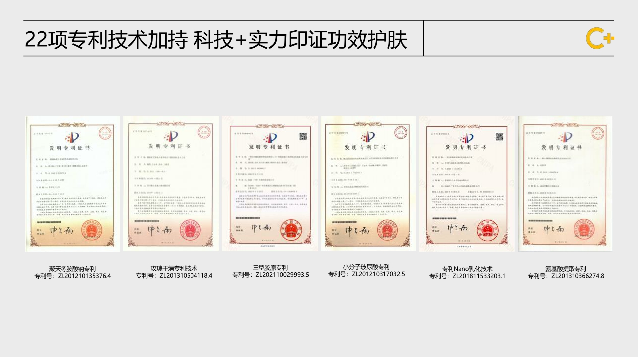 C咖品牌介绍.pdf