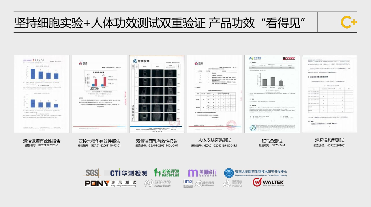C咖品牌介绍.pdf