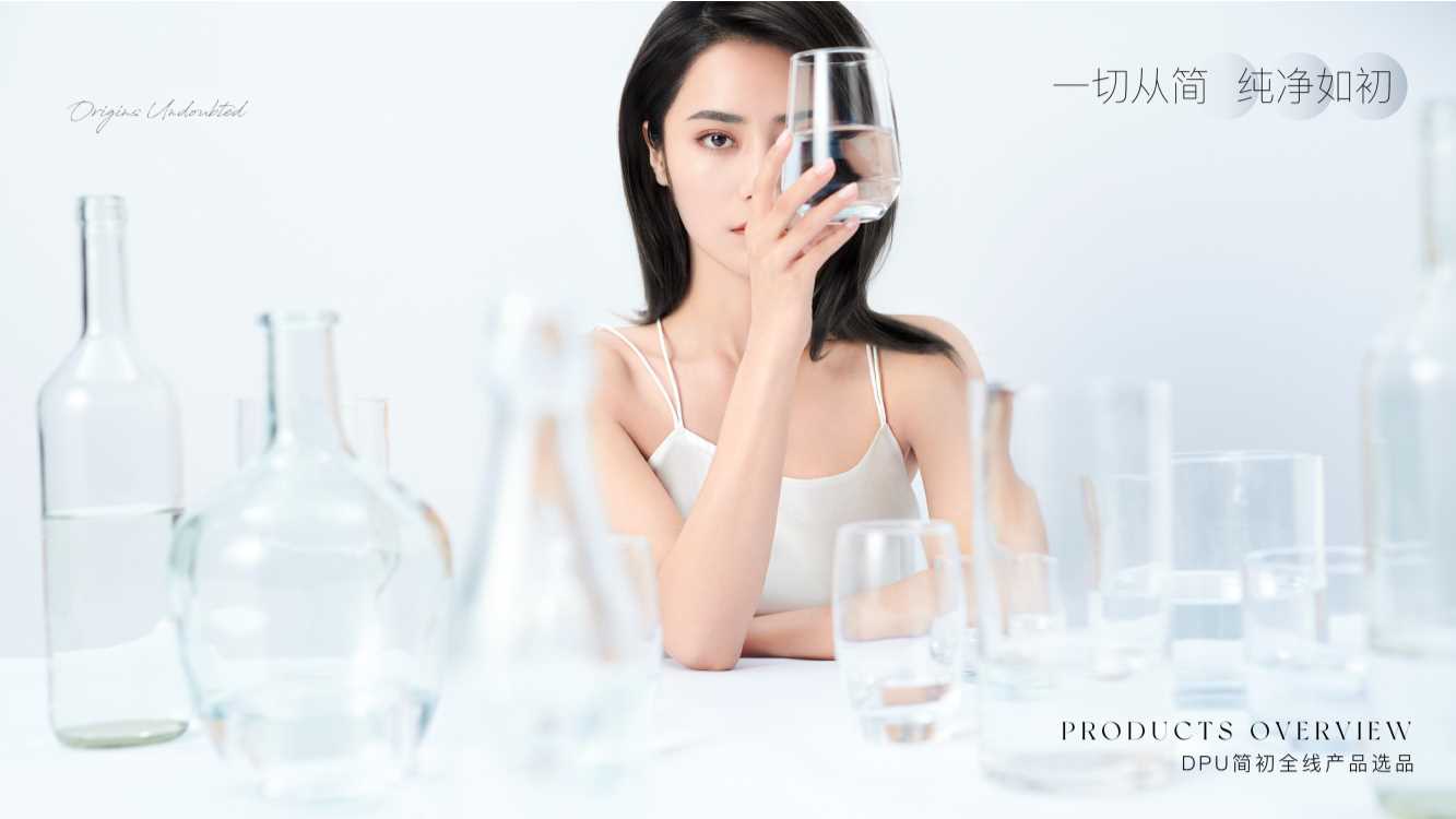 DPU产品介绍品牌背书.pdf