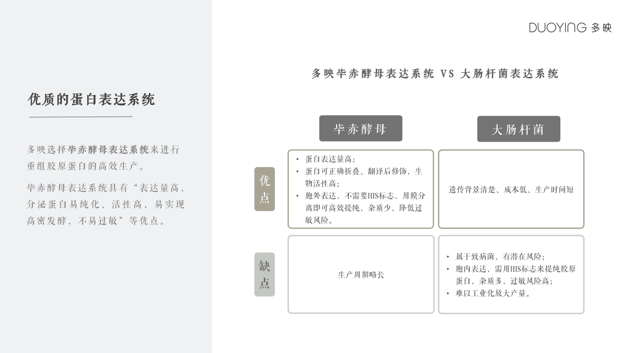 DUOYING多映品牌手册（精简）.pdf