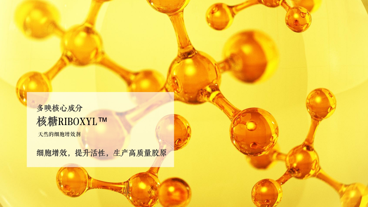 DUOYING多映品牌手册（精简）.pdf