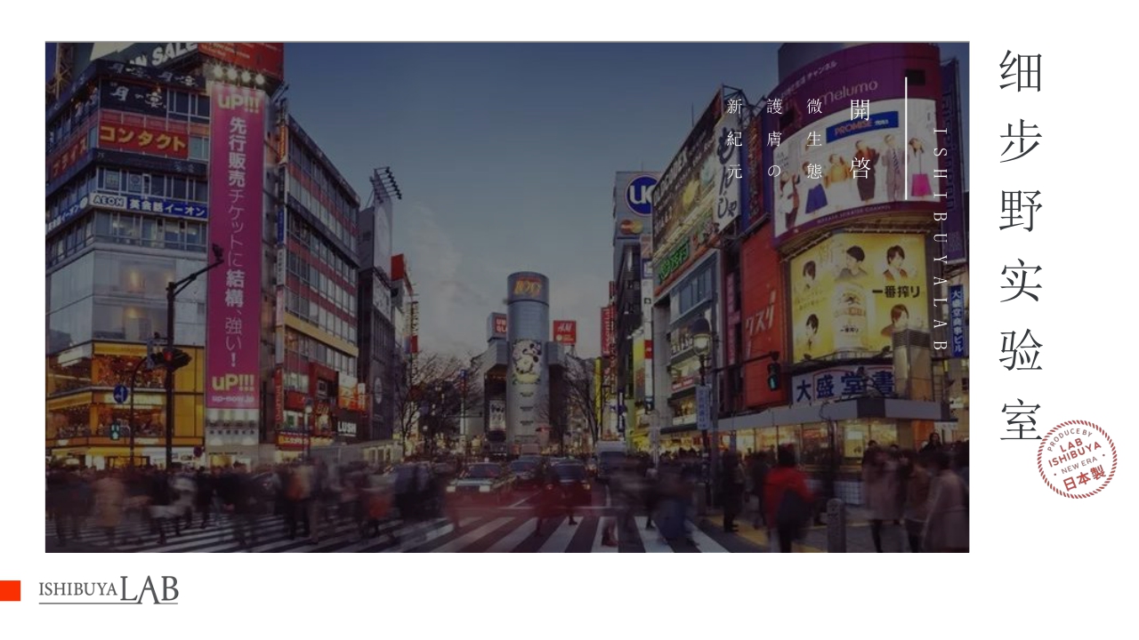 ISHIBUYALAB细步野全系列产品介绍书.pdf