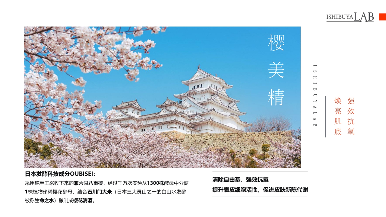 ISHIBUYALAB细步野全系列产品介绍书.pdf