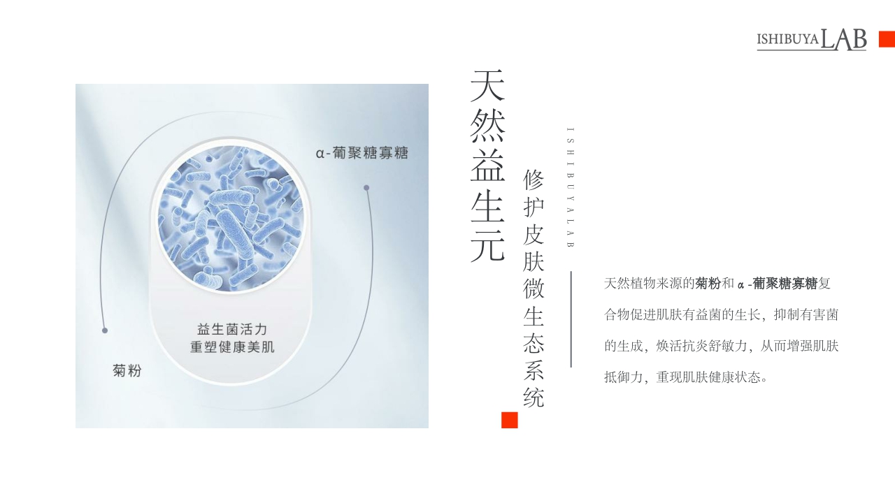 ISHIBUYALAB细步野全系列产品介绍书.pdf