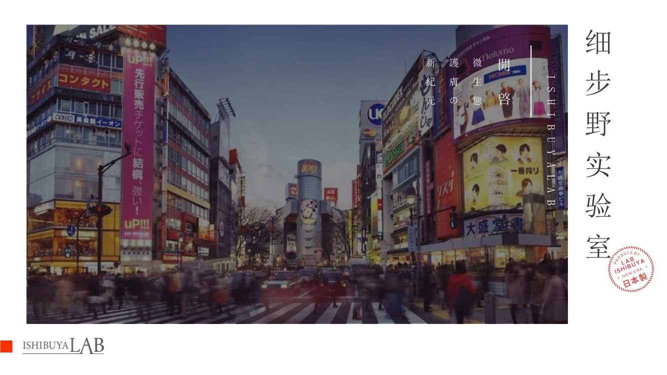 ISHIBUYALAB细步野全系列产品介绍书.pdf