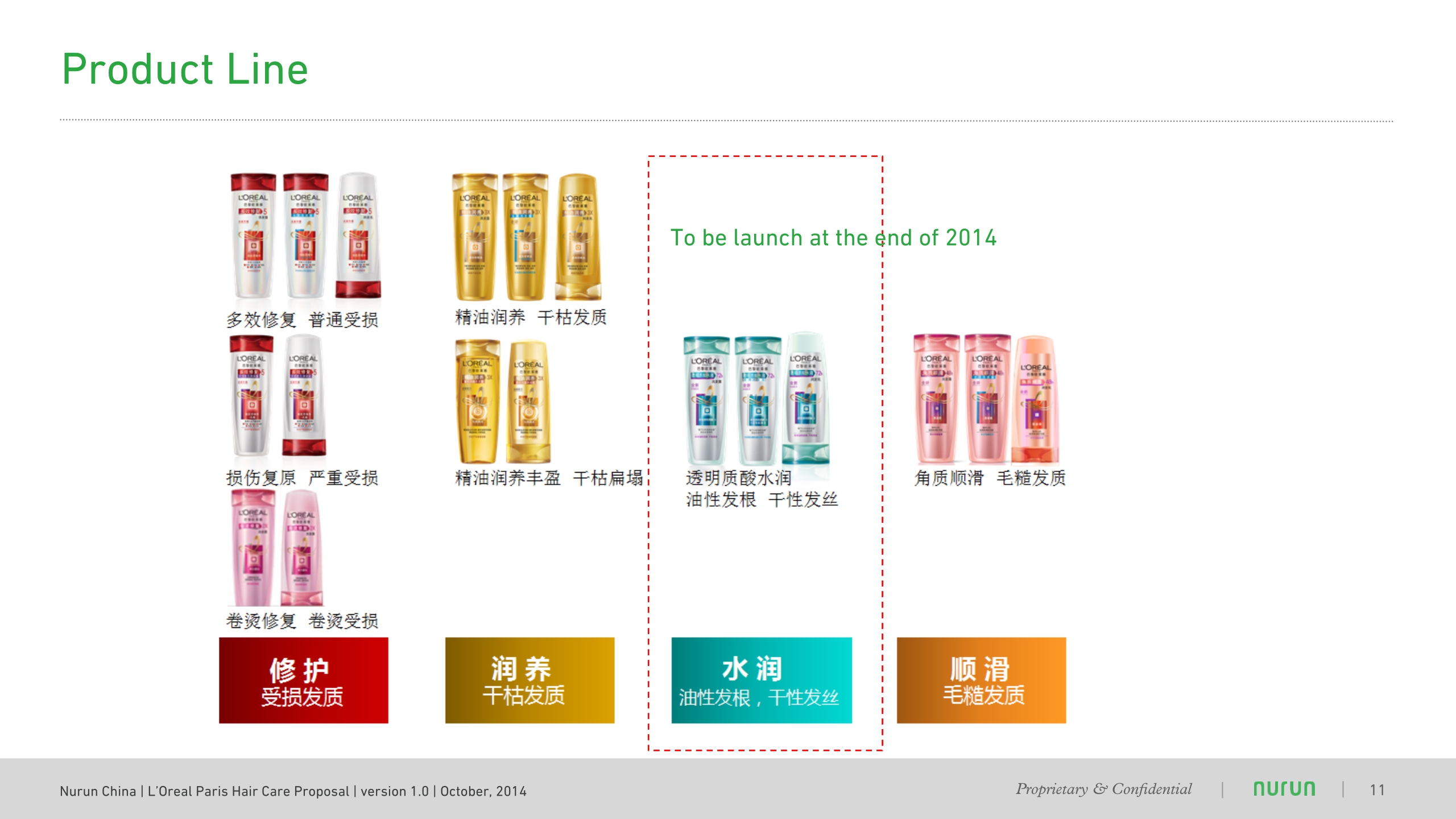 Nurun LOreal_Paris_洗发液Nurun _Hair_Care_Proposal.pdf