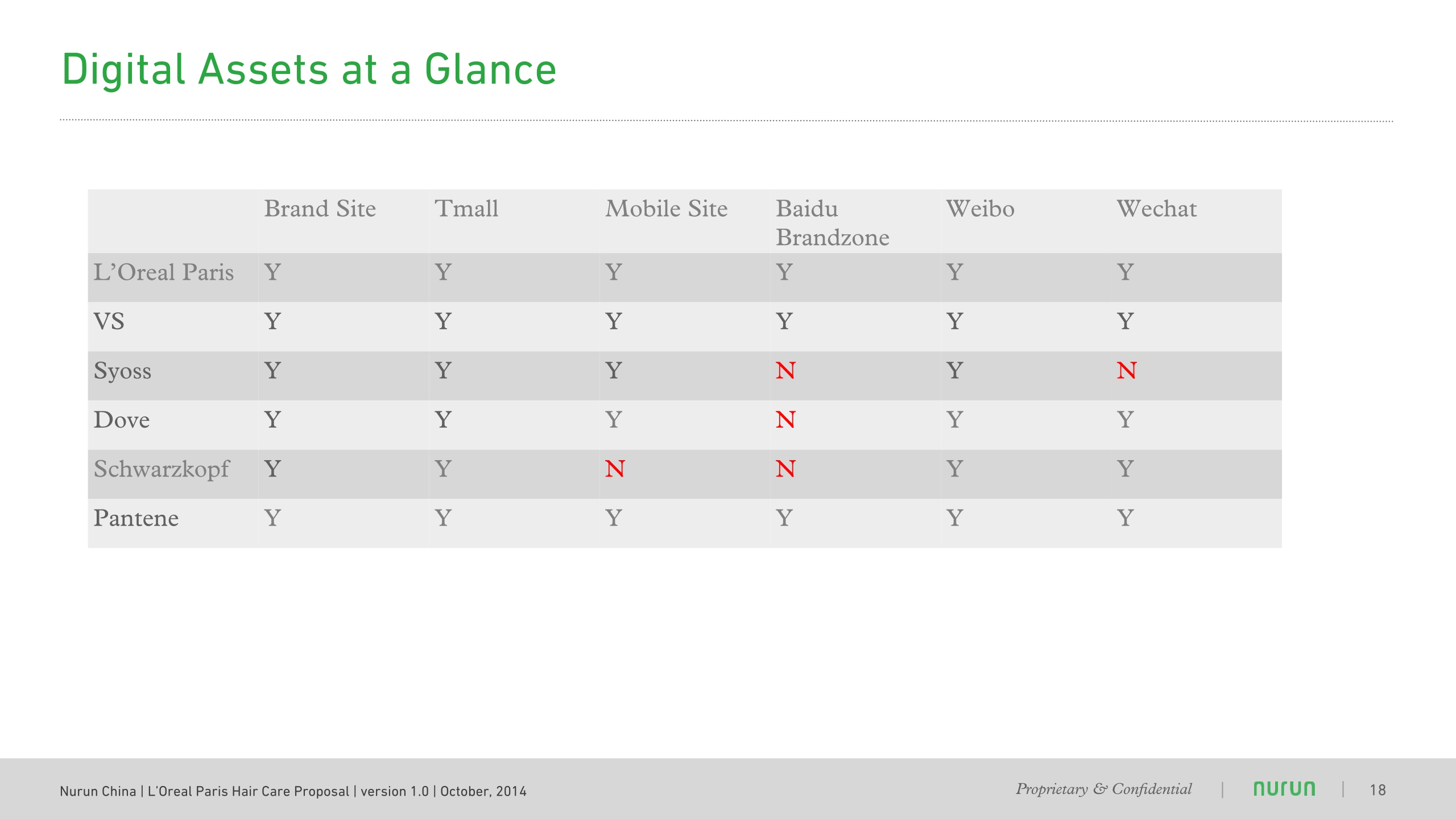Nurun LOreal_Paris_洗发液Nurun _Hair_Care_Proposal.pdf