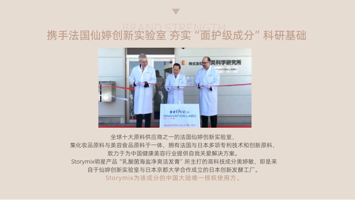 Storymix品牌手册.pdf